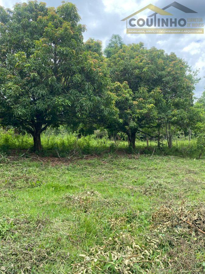 WhatsApp Image 2026-01-29 at 20.11.52 (2).jpeg